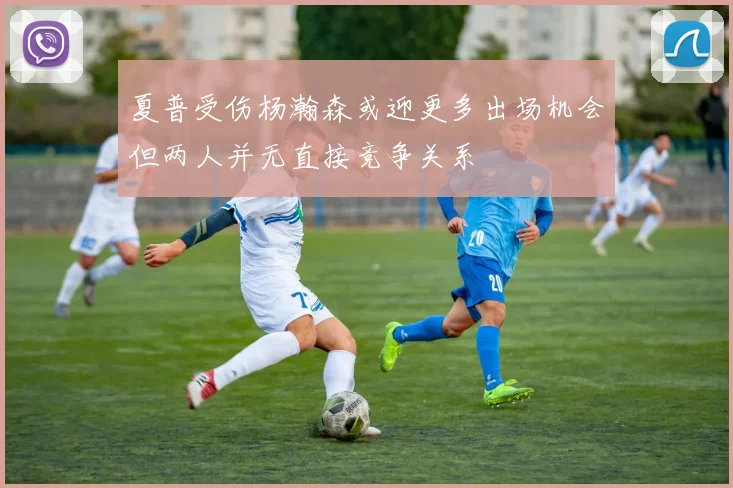 夏普受伤杨瀚森或迎更多出场机会但两人并无直接竞争关系