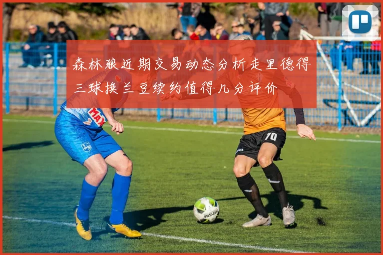 森林狼近期交易动态分析走里德得三球换兰豆续约值得几分评价